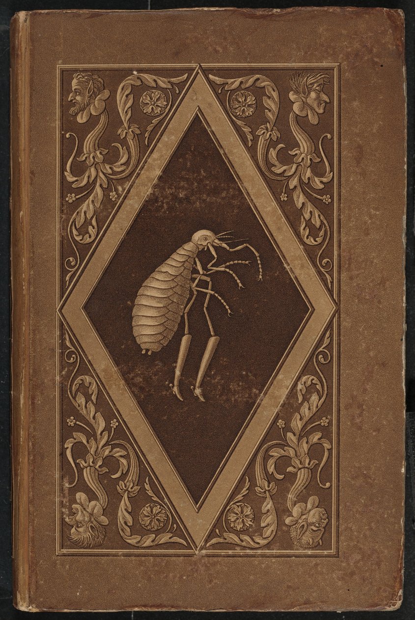 Meister Floh. Een Sprookje in Zeven Avonturen van Twee Vrienden door Karl Friedrich Thiele, Ernst Theodor Amadeus Hoffmann