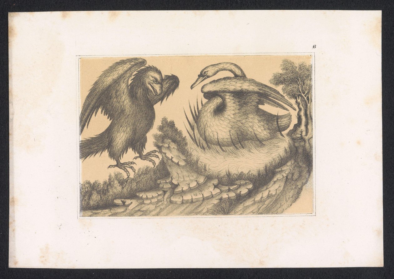 Zwaan en adelaar door Karl Palzow