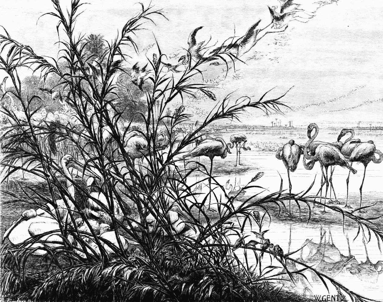 Een parlement van vogels op het Menaleh-meer, 1880 door Karl Wilhelm Gentz
