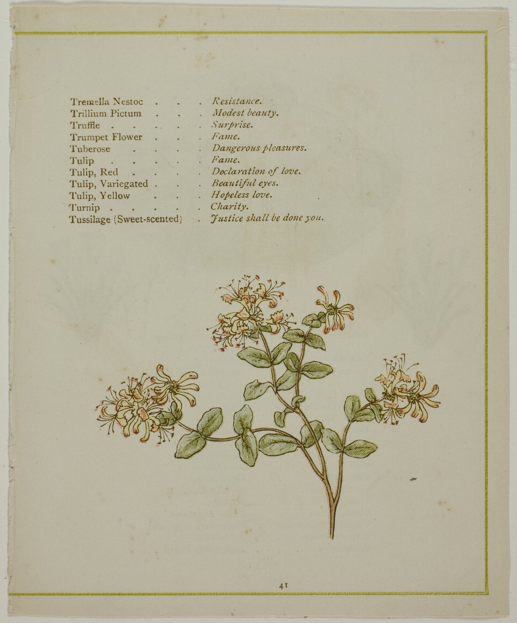 Valeriaan door Volkamenia, uit De Verlichte Taal van Bloemen door Kate Greenaway
