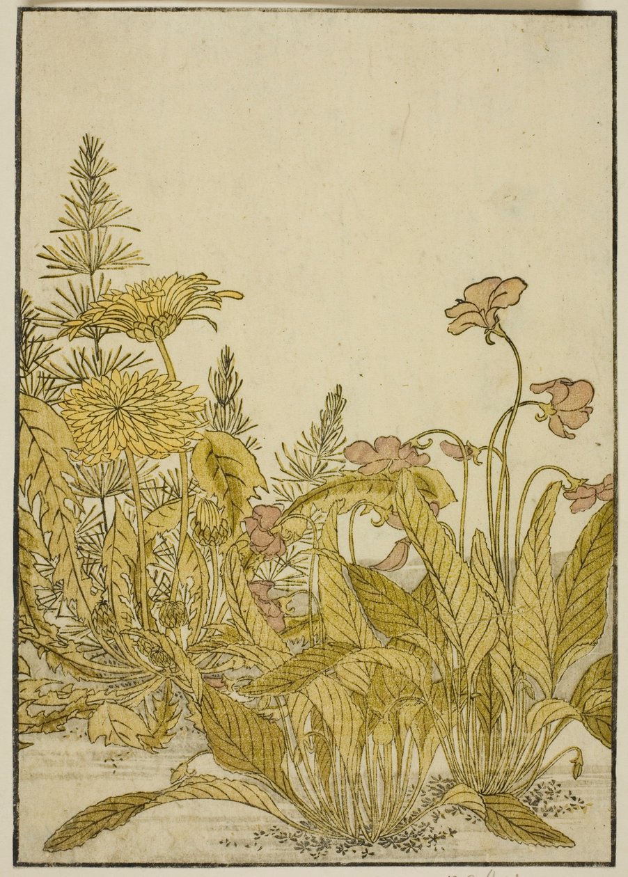 Lentebloemen: Viooltjes en paardenbloemen, uit het boek 