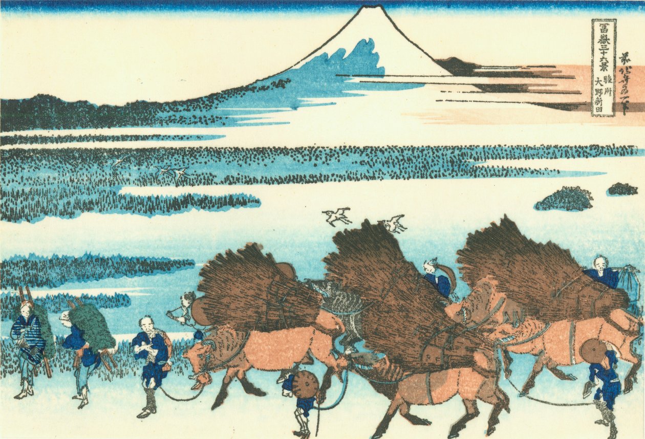 Rijstvelden in Ono, provincie Suruga door Katsushika Hokusai