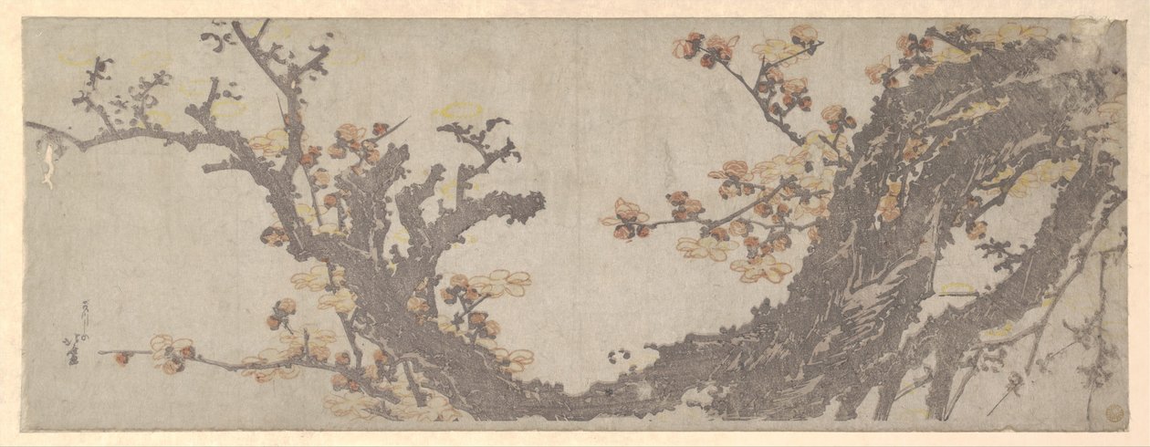 Een eeuwenoude pruimenboom in bloei door Katsushika Hokusai