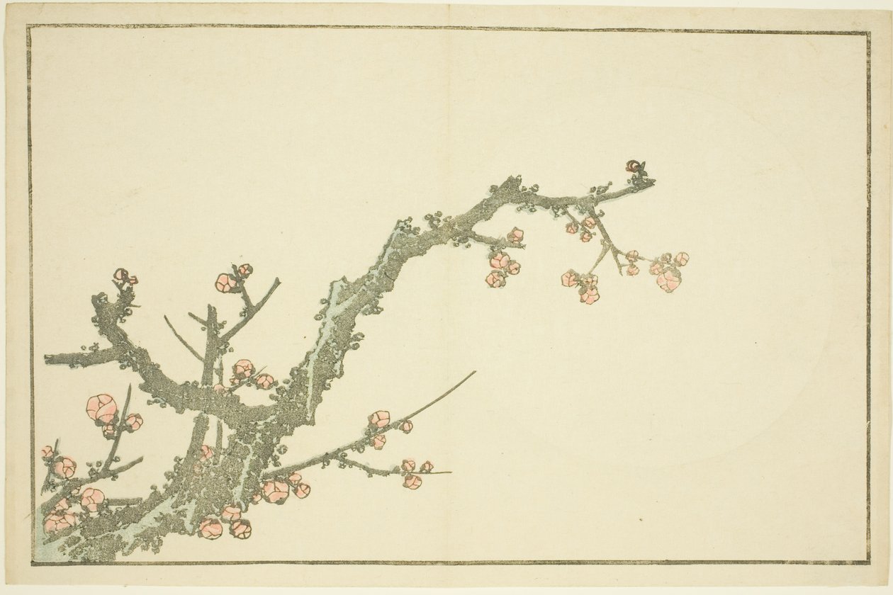 Bloeiende Pruimenboom, uit Het Prentenboek van Realistische Schilderijen van Hokusai (Hokusai shashin gafu) door Katsushika Hokusai