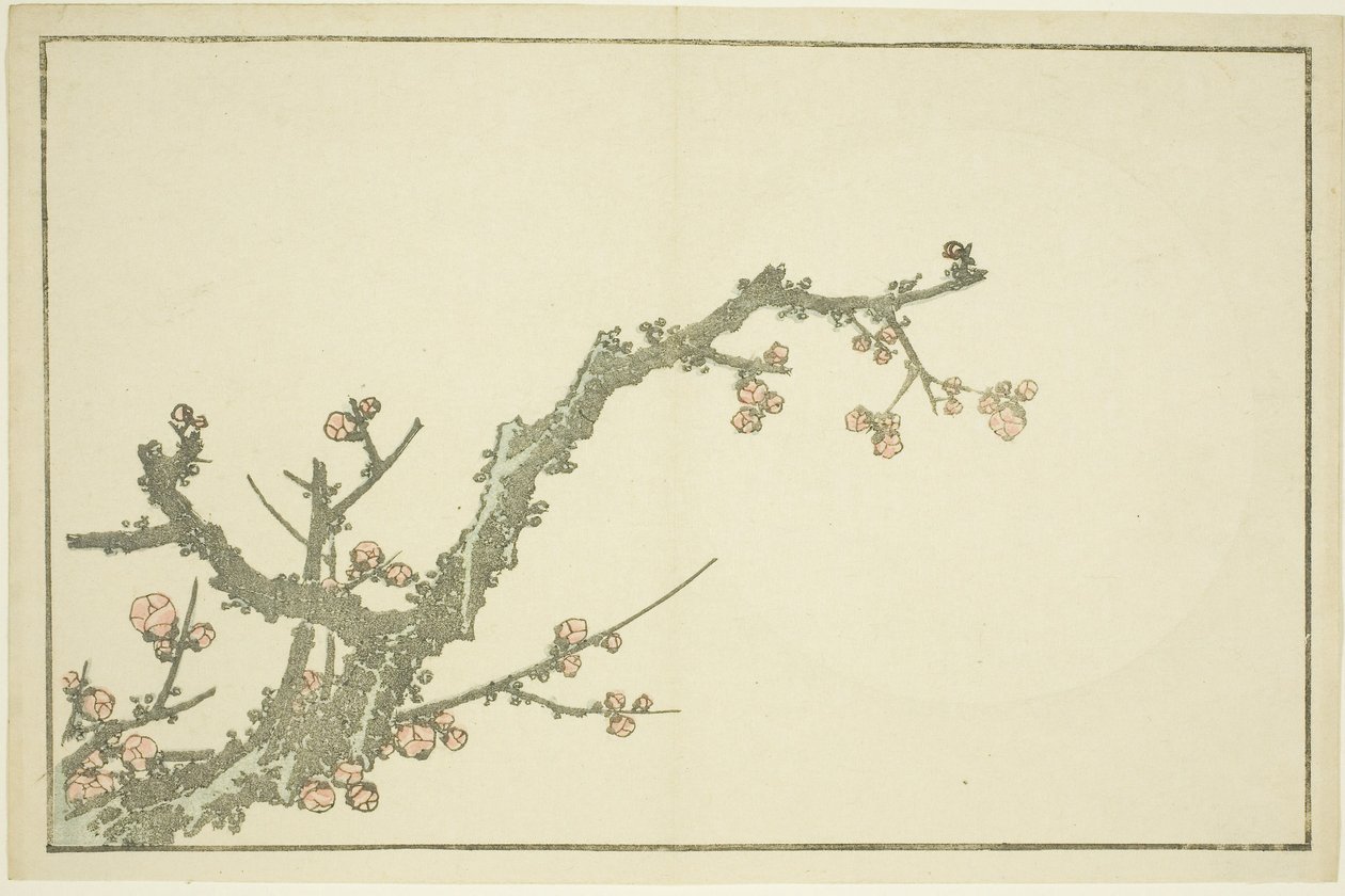 Bloeiende pruimenboom, uit Het prentenboek van realistische schilderijen van Hokusai (Hokusai shashin gafu), c.1814 door Katsushika Hokusai