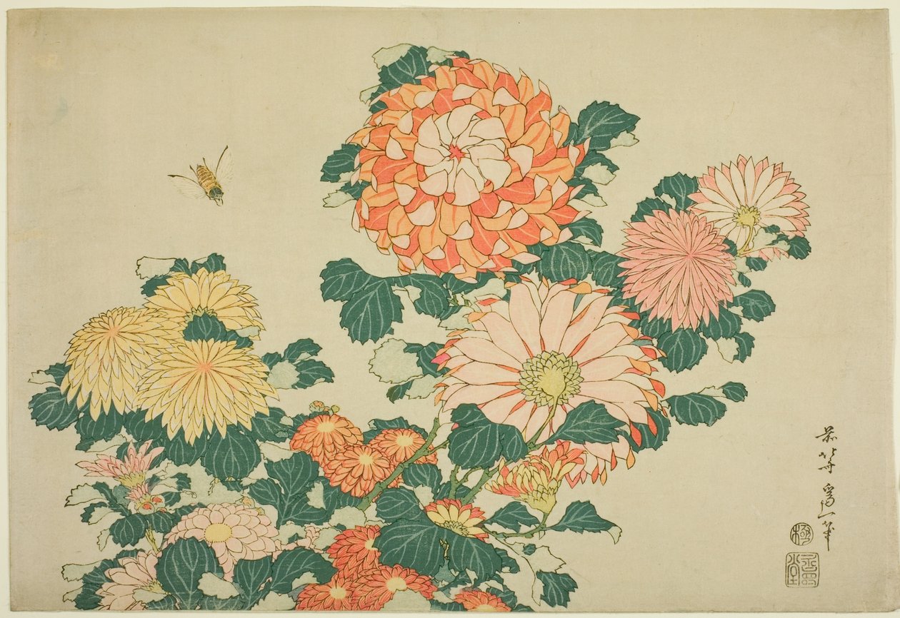 Chrysanten en bij, uit een ongetitelde serie van grote bloemen door Katsushika Hokusai