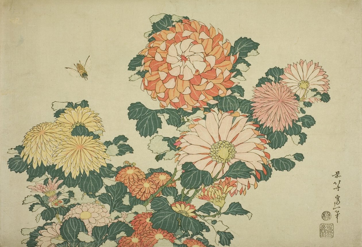 Chrysanten en bij, uit een ongetitelde serie van grote bloemen, ca.1833-34 door Katsushika Hokusai