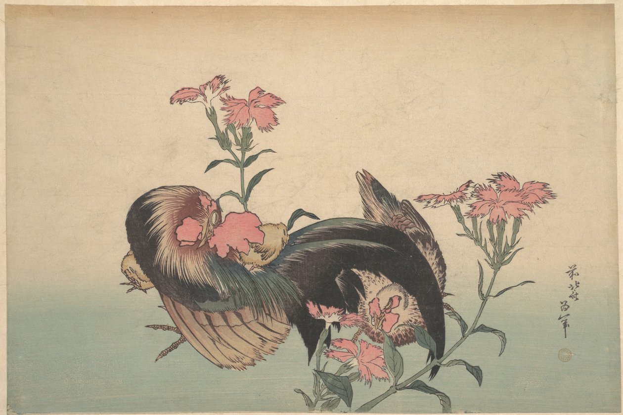 Haan, Kip en Nadeshiko (Dianthus superbus) door Katsushika Hokusai