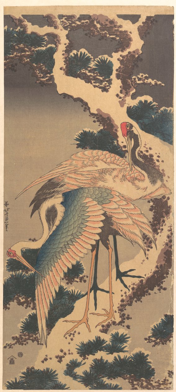 Kraanvogels op een tak van een met sneeuw bedekte den door Katsushika Hokusai