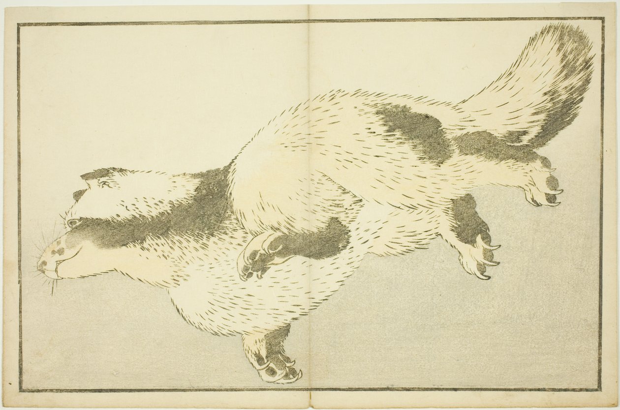 Vos, uit Het Prentenboek van Realistische Schilderijen van Hokusai door Katsushika Hokusai