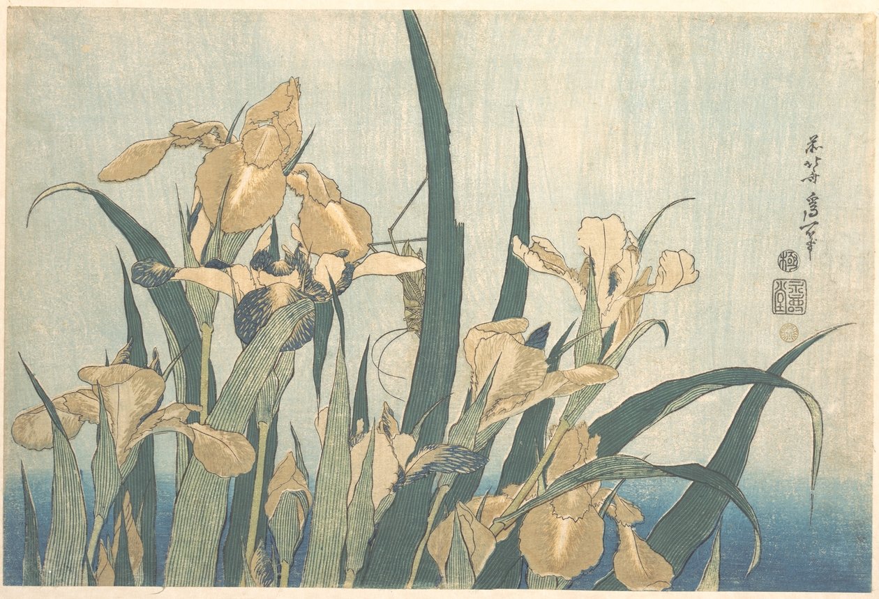 Sprinkhaan en iris door Katsushika Hokusai