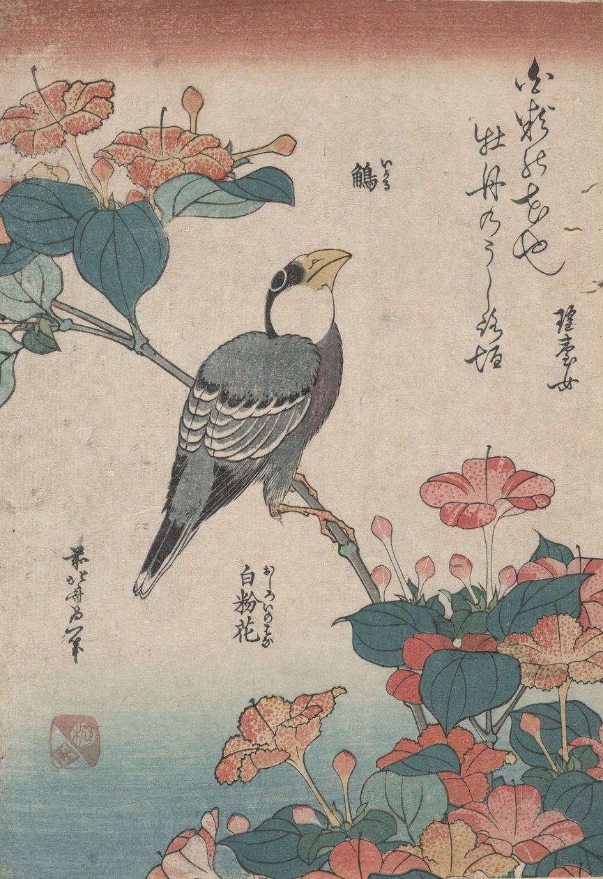 Grosbeak op Mirabilis, uit een ongetitelde serie genaamd Kleine Bloemen door Katsushika Hokusai
