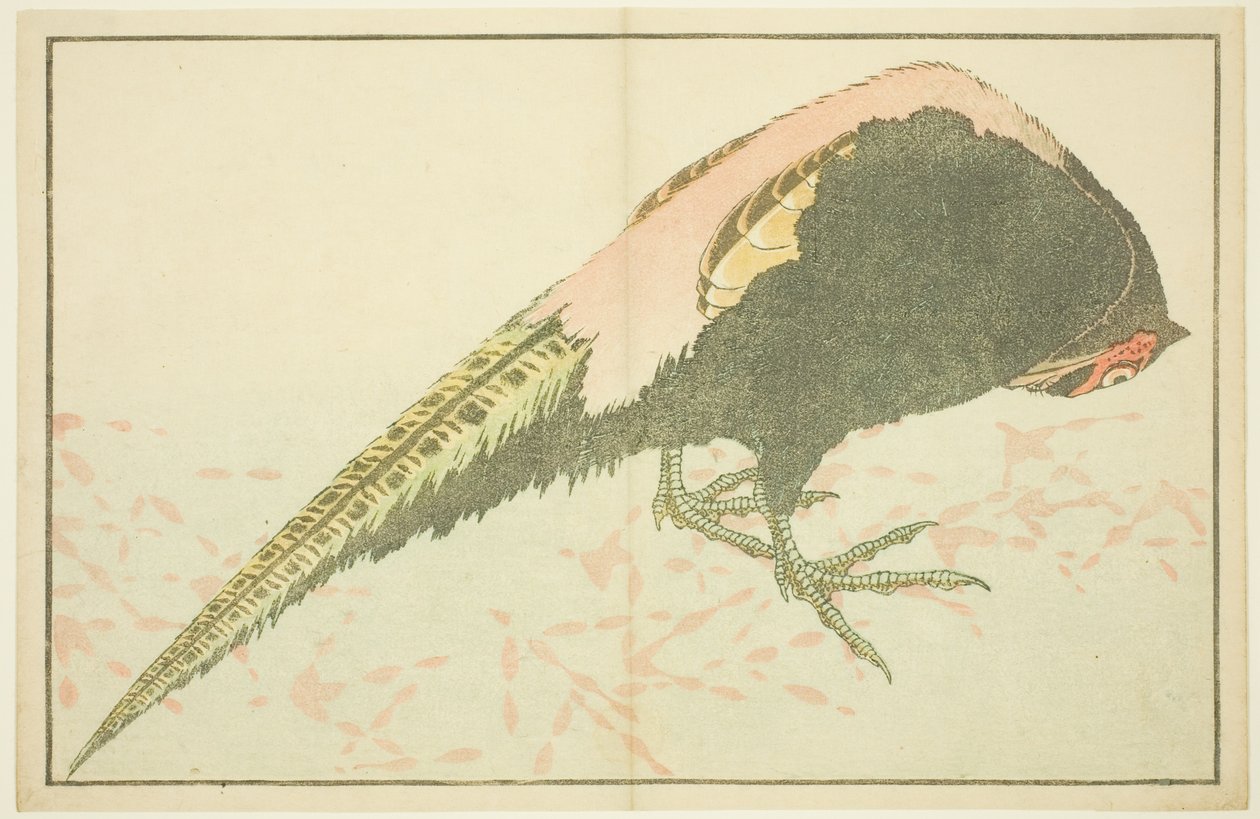 Mannelijke Fazant, uit Het Prentenboek van Realistische Schilderijen van Hokusai (Hokusai shashin gafu) door Katsushika Hokusai