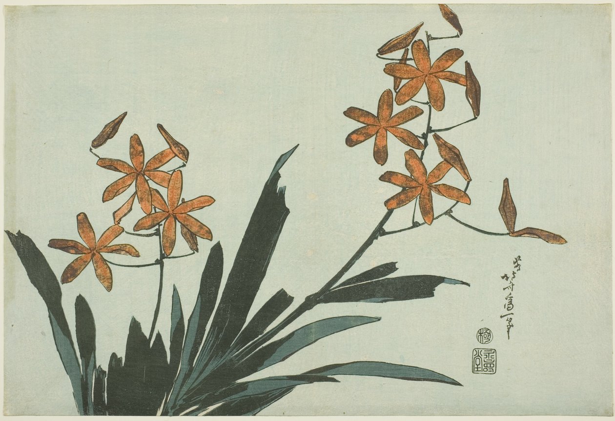 Oranje orchideeën, uit een ongetitelde serie bloemen door Katsushika Hokusai
