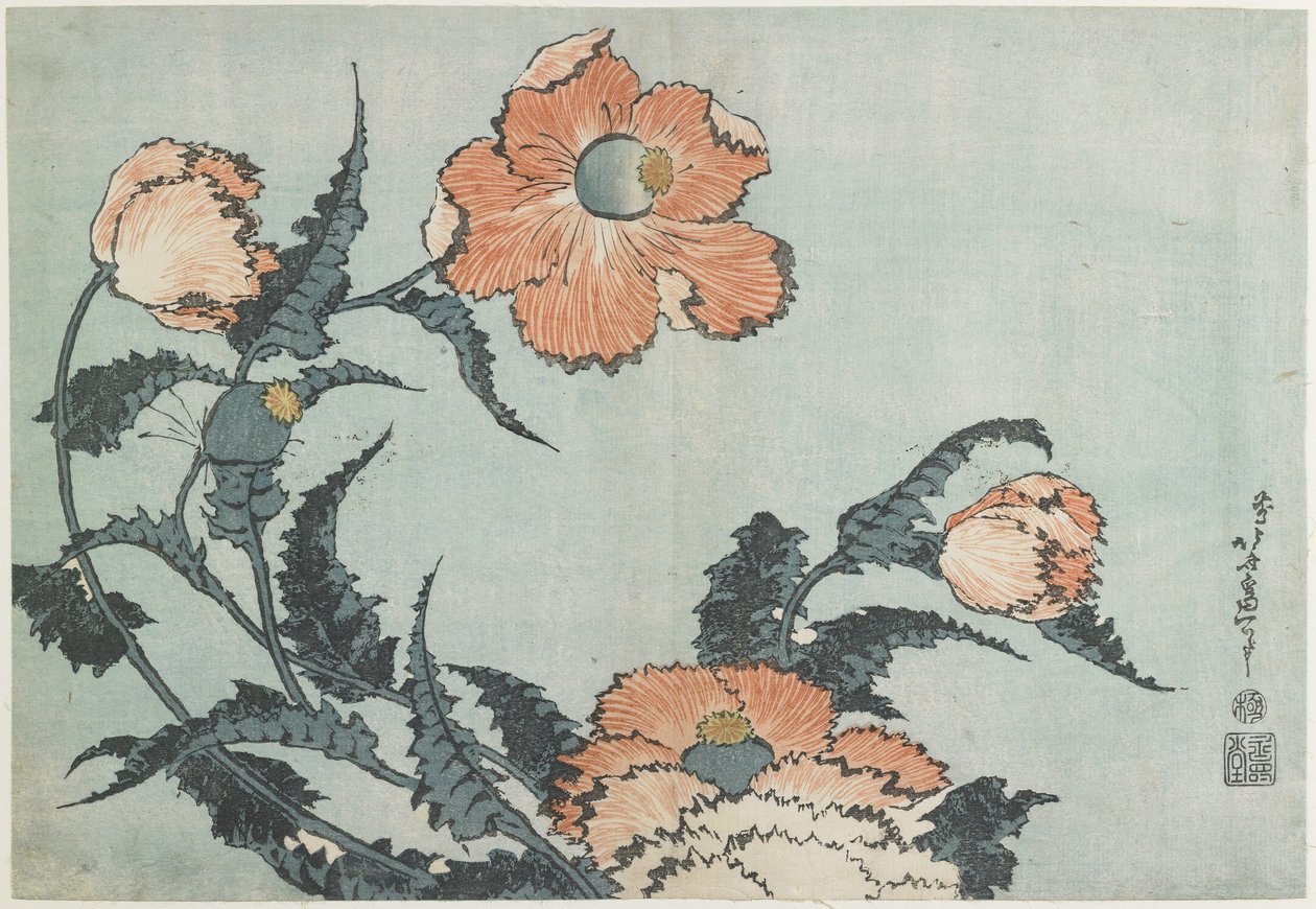 Klaprozen, ca. 1832 door Katsushika Hokusai