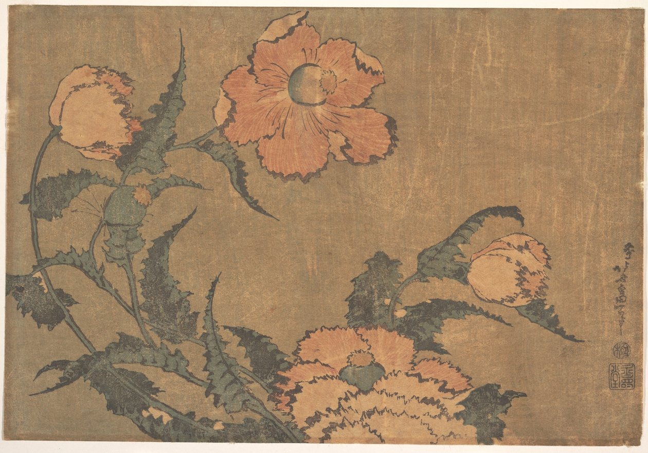 Klaprozen in de wind door Katsushika Hokusai