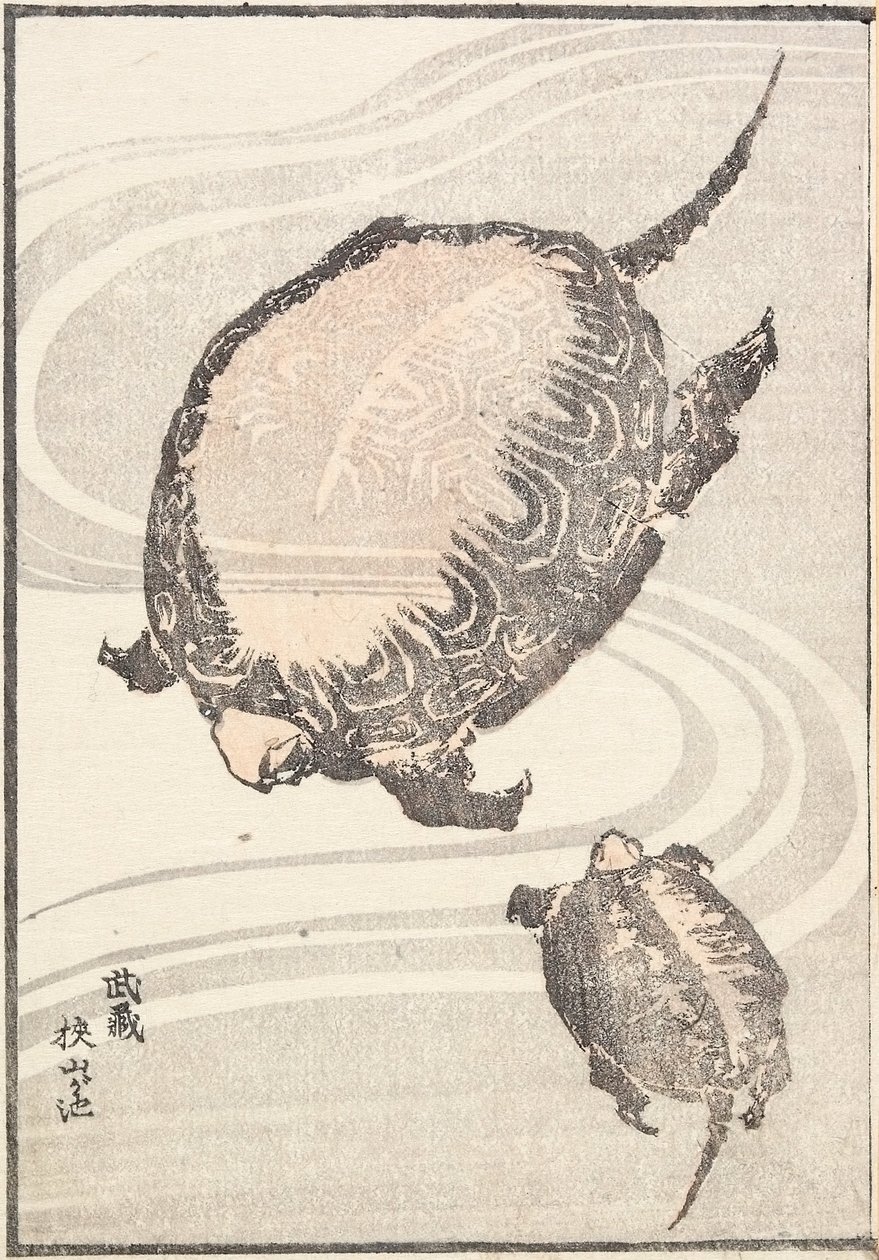 De Sayama-ga-ike-vijver in de provincie Musashi door Katsushika Hokusai