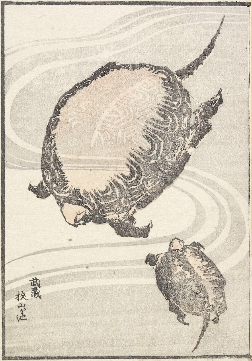 Sayama-ga-ike Vijver in de provincie Musashi, 1817 door Katsushika Hokusai