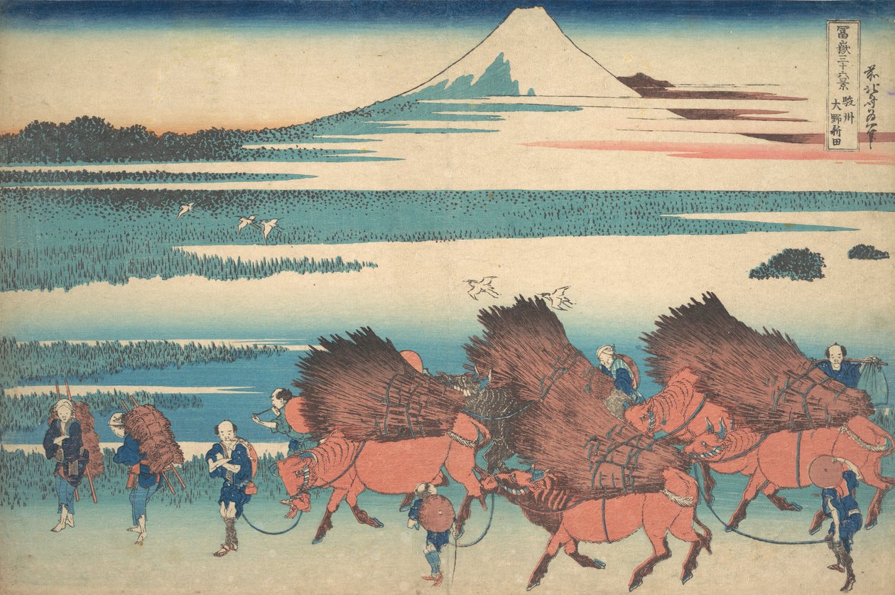 De nieuwe velden bij Ono in de provincie Suruga Sunshu Ono shinden, uit de serie Thir..., ca. 1830-32 door Katsushika Hokusai