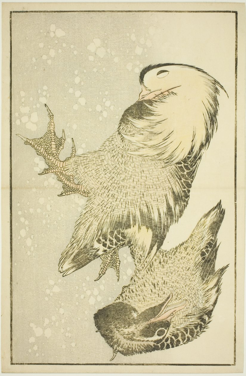 Twee watervogels, uit Het prentenboek van realistische schilderijen van Hokusai door Katsushika Hokusai