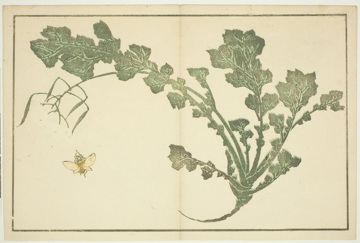 Wesp en raapsteel, uit "Het prentenboek van realistische schilderijen van Hokusai (Hokusai shashin gafu)" door Katsushika Hokusai