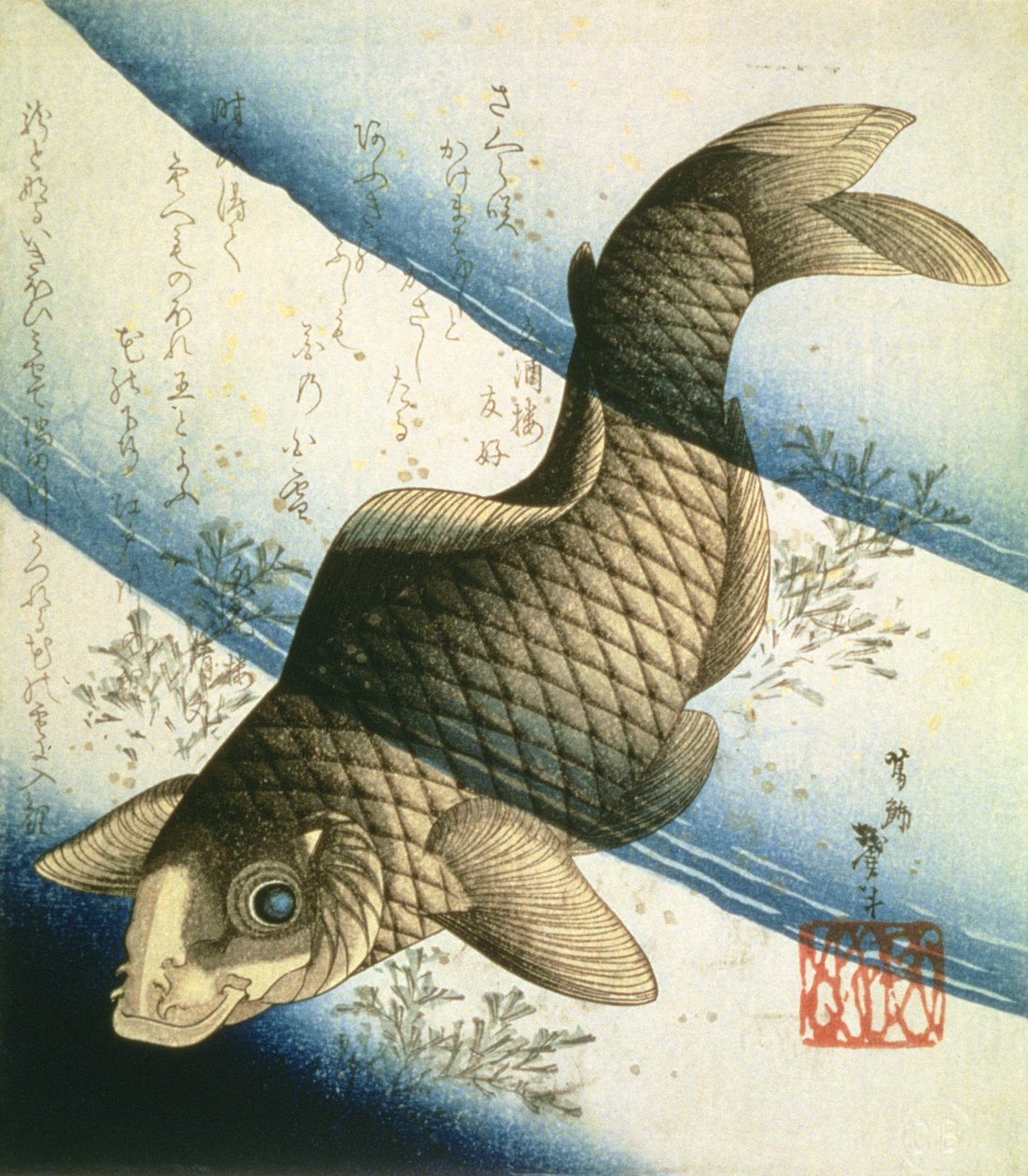 Een Karper Zwemmend tussen Waterplanten, ca.1832 door Katsushika II Taito