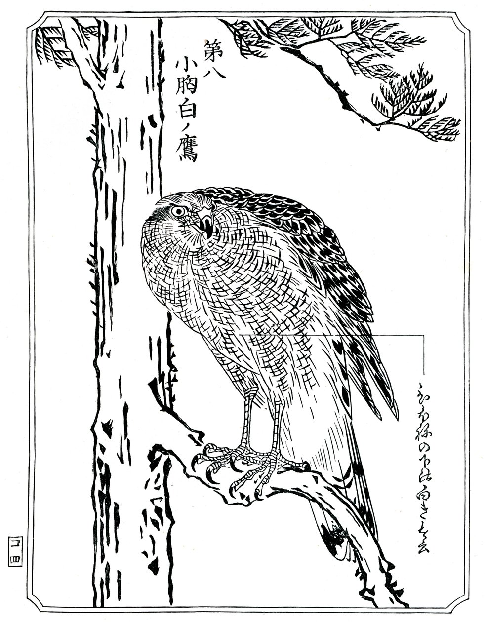 Een havik, 1898 door Kawanabe Kyosai