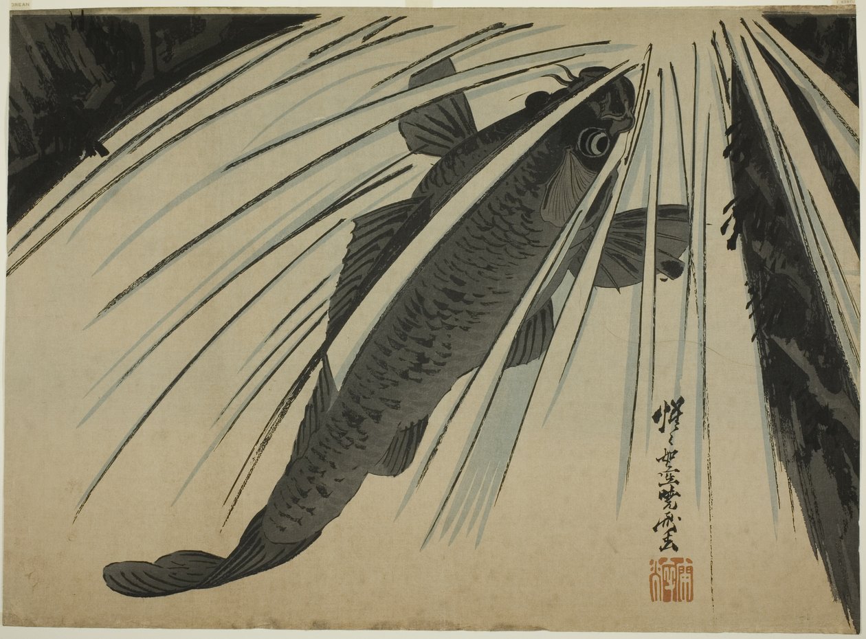 Karper Stijgende Watervallen door Kawanabe Kyosai