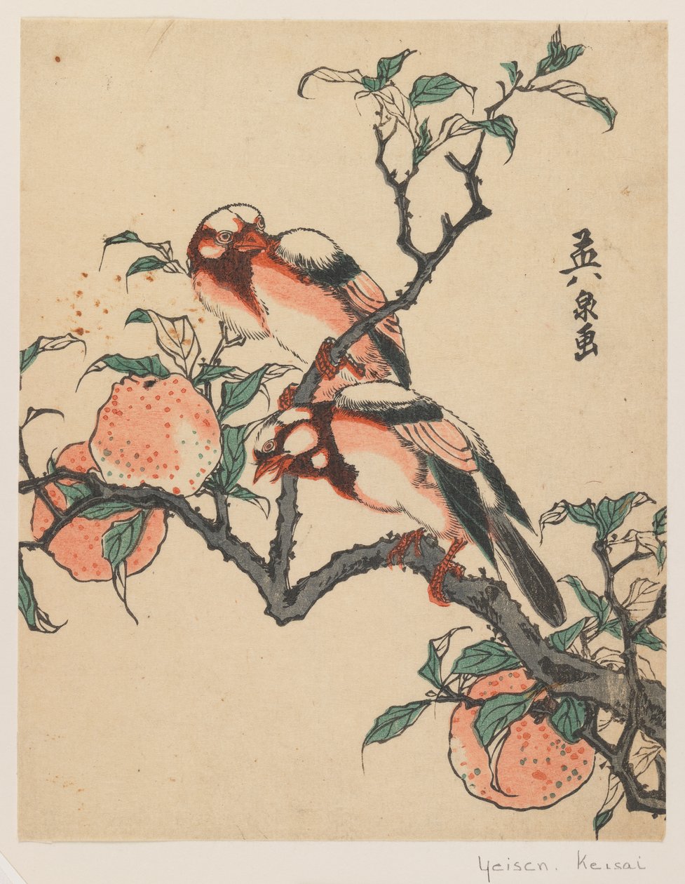 Granaatappels en vogels, ca.1840 door Keisai Eisen