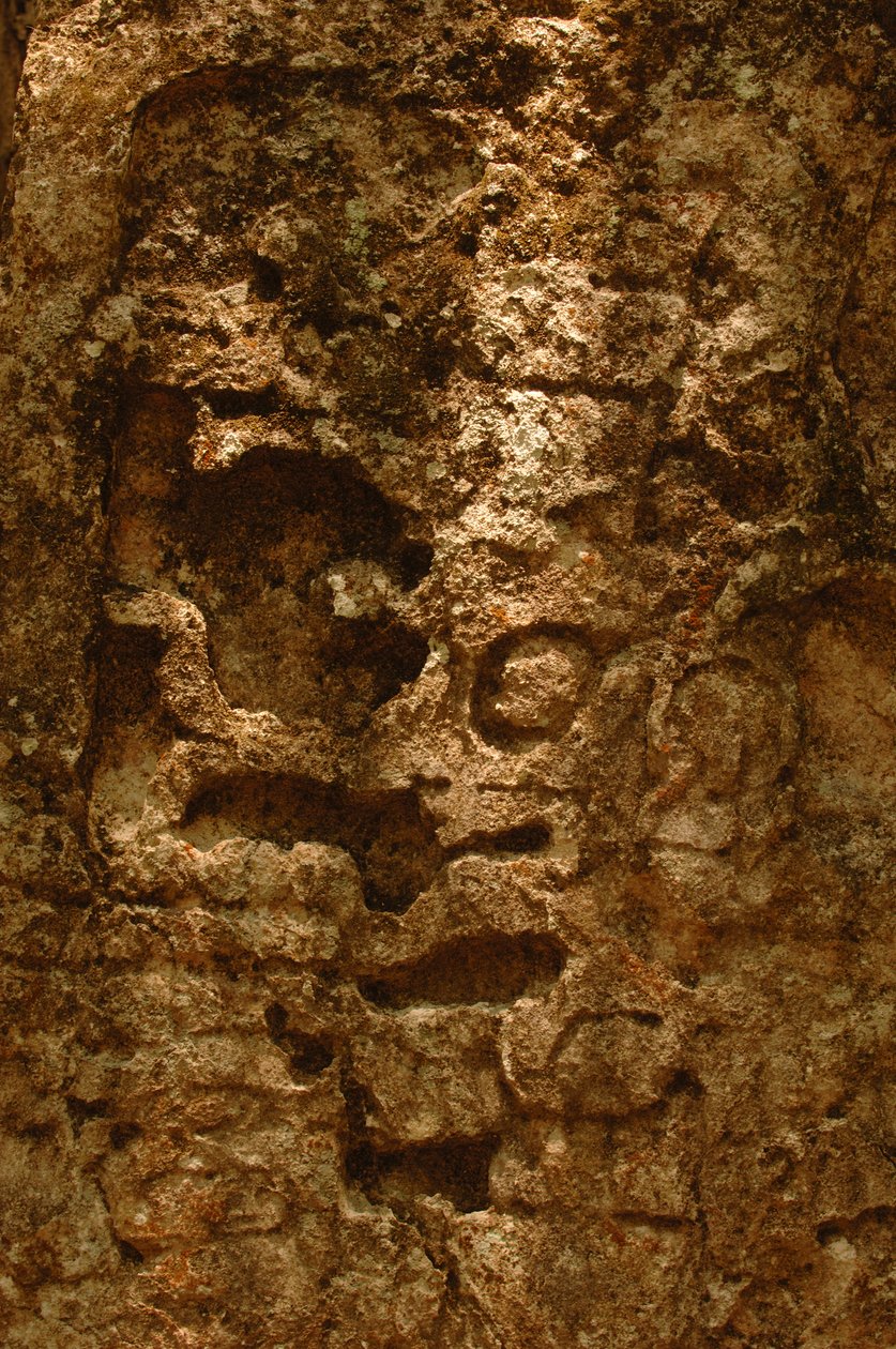 7319 Oxpemul; Maya; Oude Culturen; Maya; Mexico; Maya Biosfeerreservaat; Ivan Spr... door Kenneth Garrett