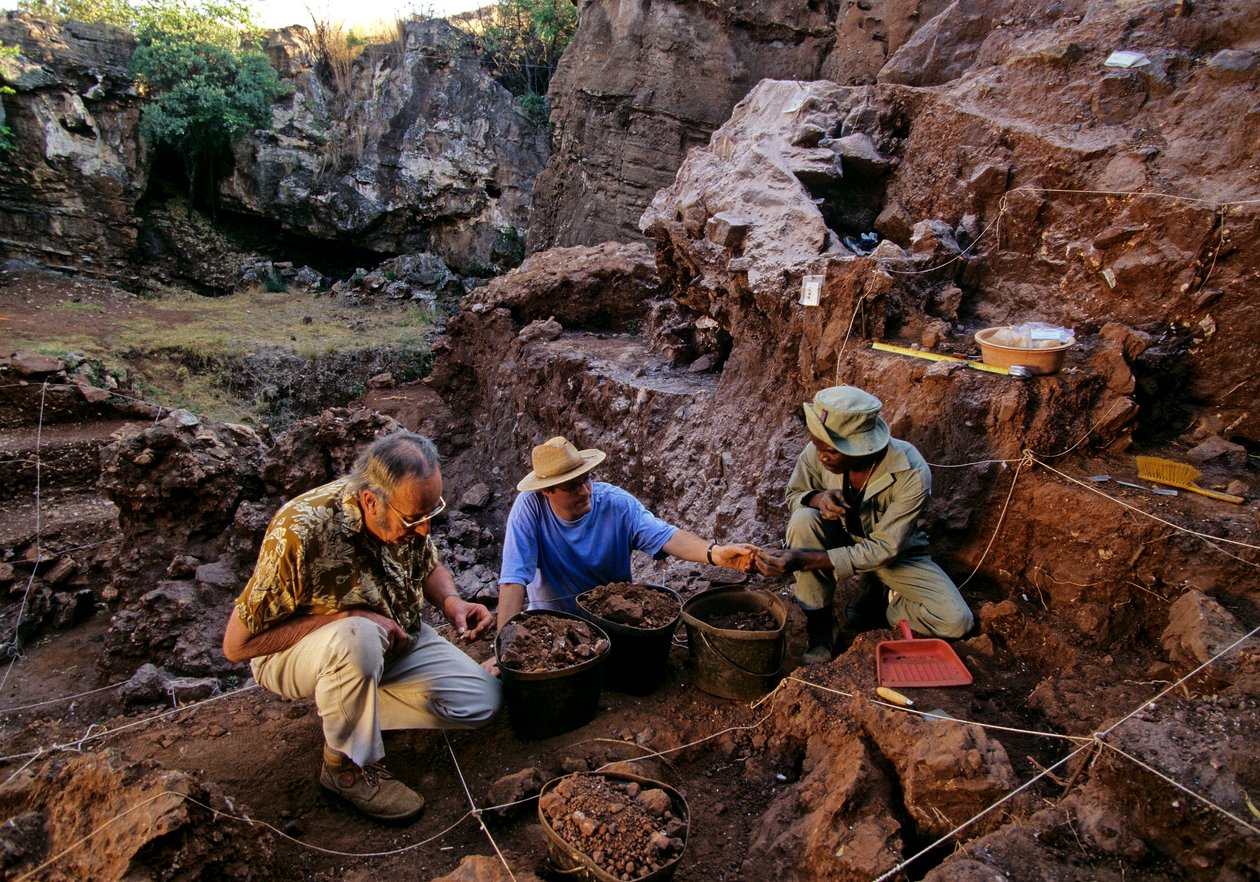 Drimolean Site, nabij Johannesburg, Zuid-Afrika, 2 miljoen jaar oude hominide door Kenneth Garrett
