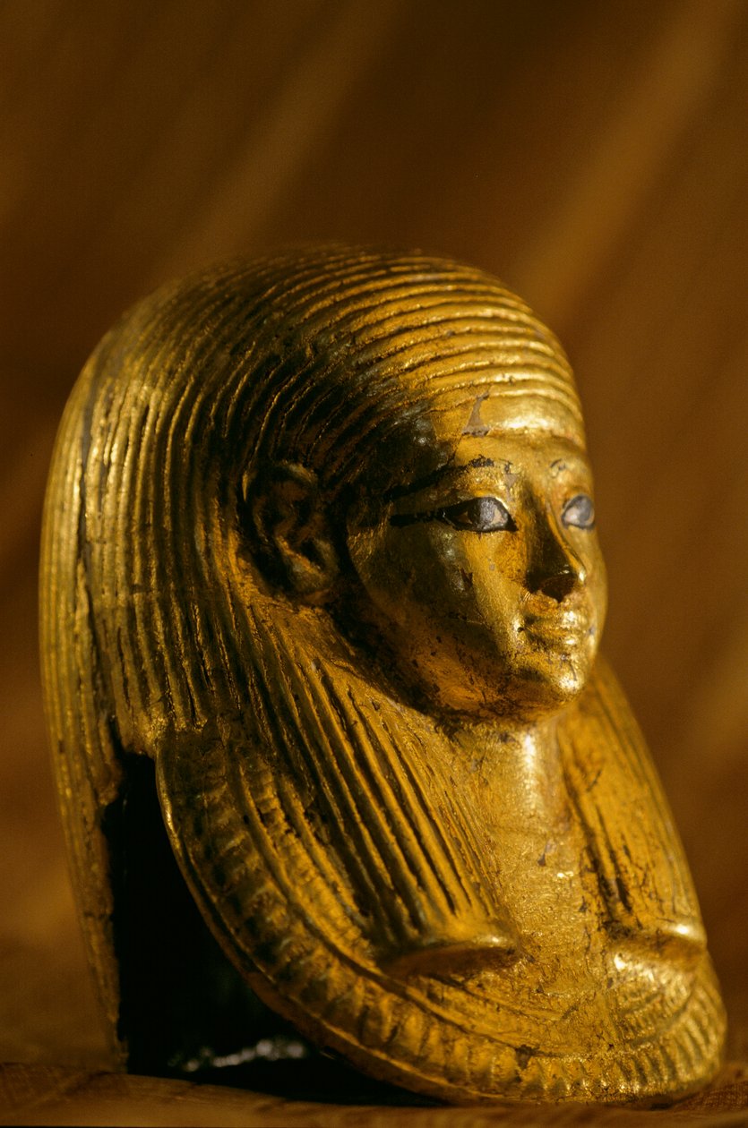 Gouden begrafenismasker van foetus, KV 54 door Kenneth Garrett