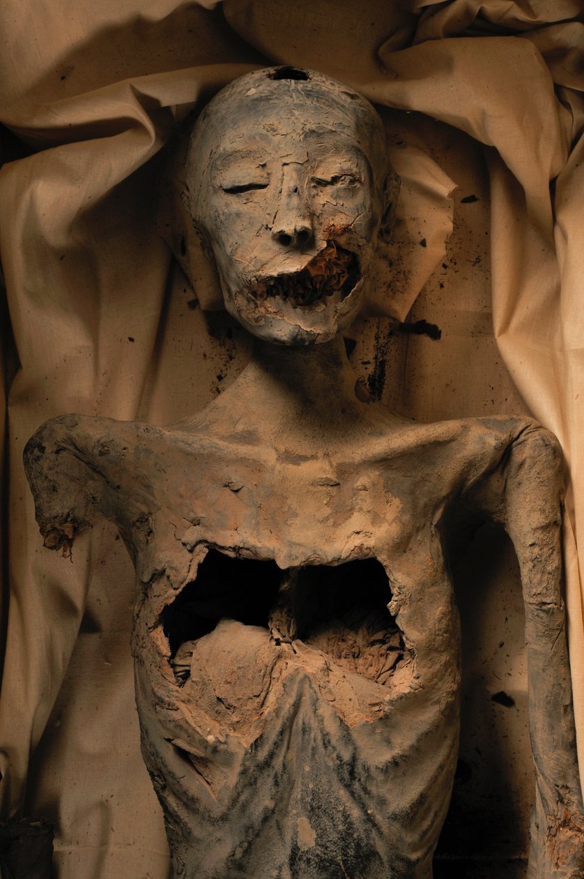 Mummie van de moeder van Koning Toet (bekend als de Jongere Dame) door Kenneth Garrett