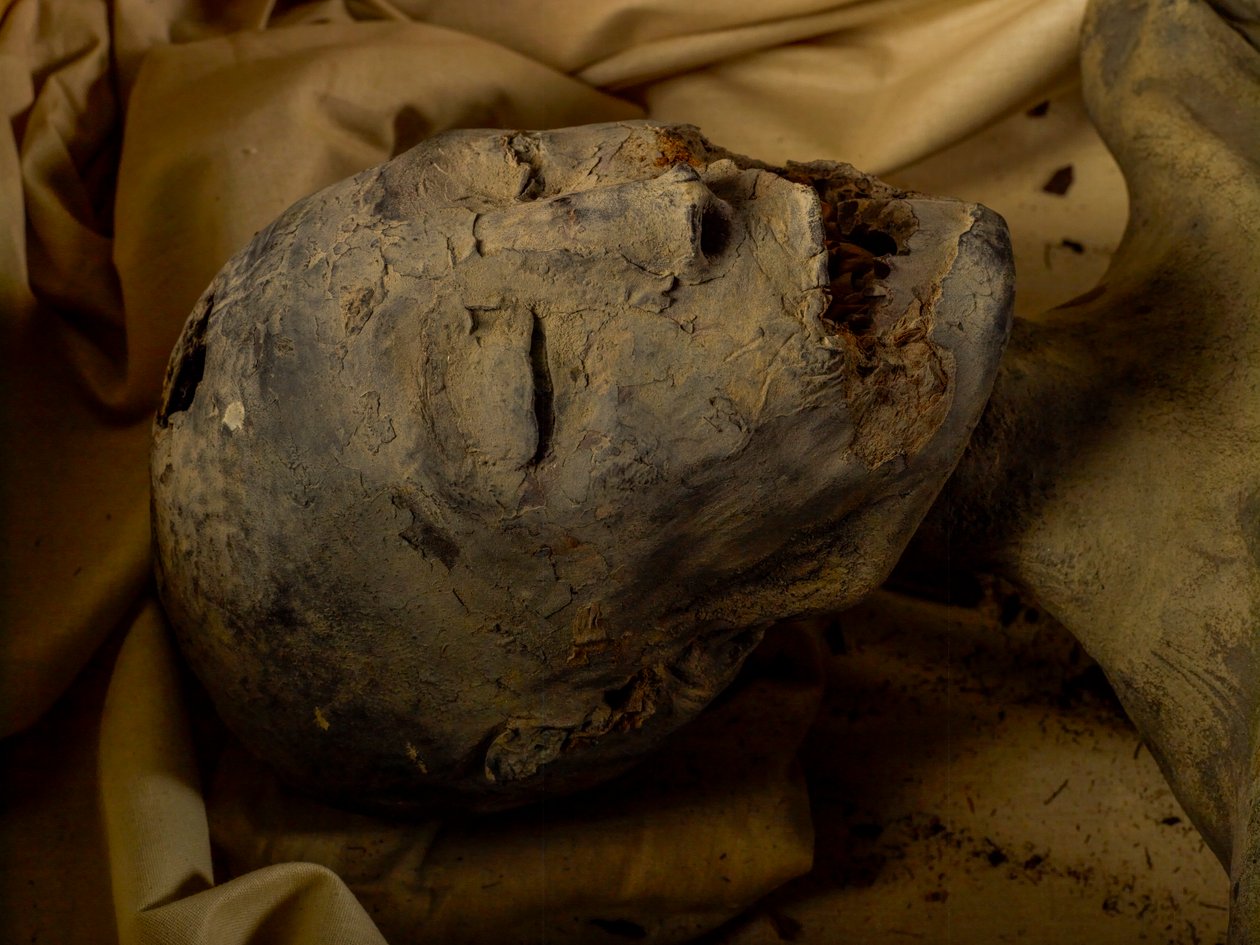 Mummie van de moeder van koning Toetanchamon (bekend als de Jongere Dame) door Kenneth Garrett