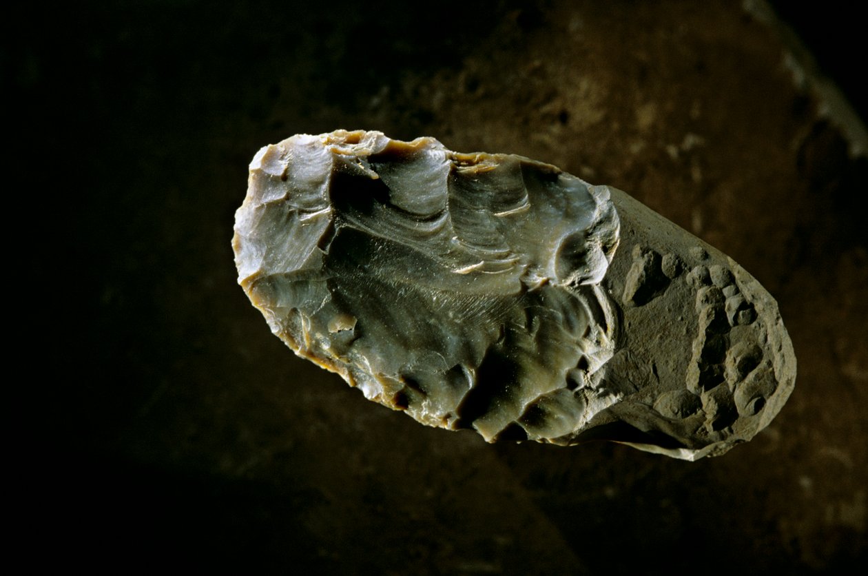 Bevolking van Amerika, stenen bijl, Gault-site, Texas, Amerika, 2000 door Kenneth Garrett