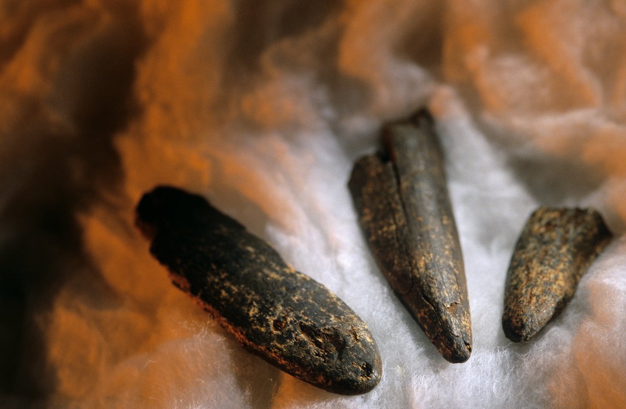 Geslepen botpunten gebruikt voor graven, Van Drimolean Site, nabij Johannesburg, Zuid-Afrika door Kenneth Garrett