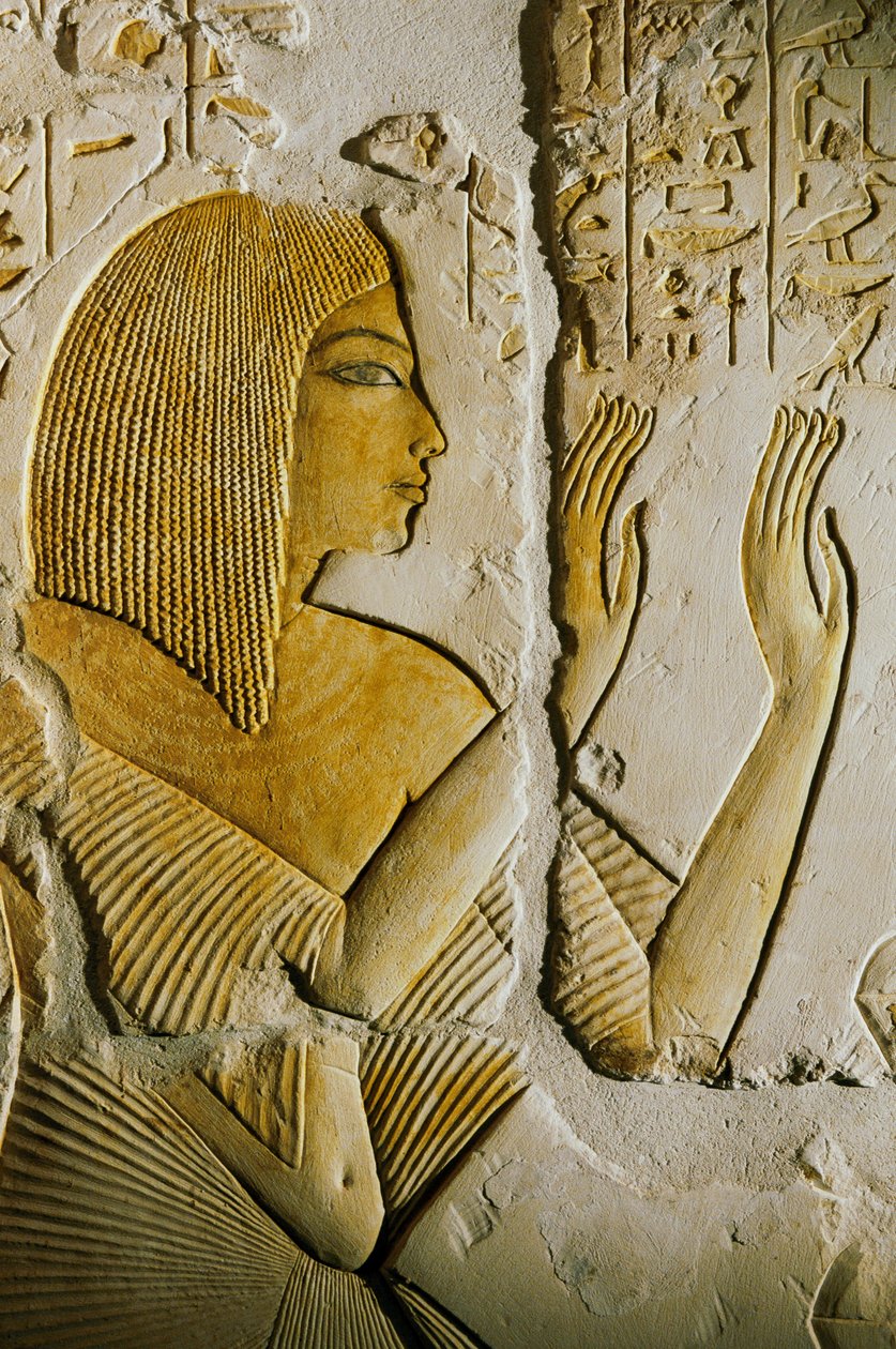 Graf van Maia; Egypte; Archeologie; Nieuwe Rijk; Saqqara, Amarna ...