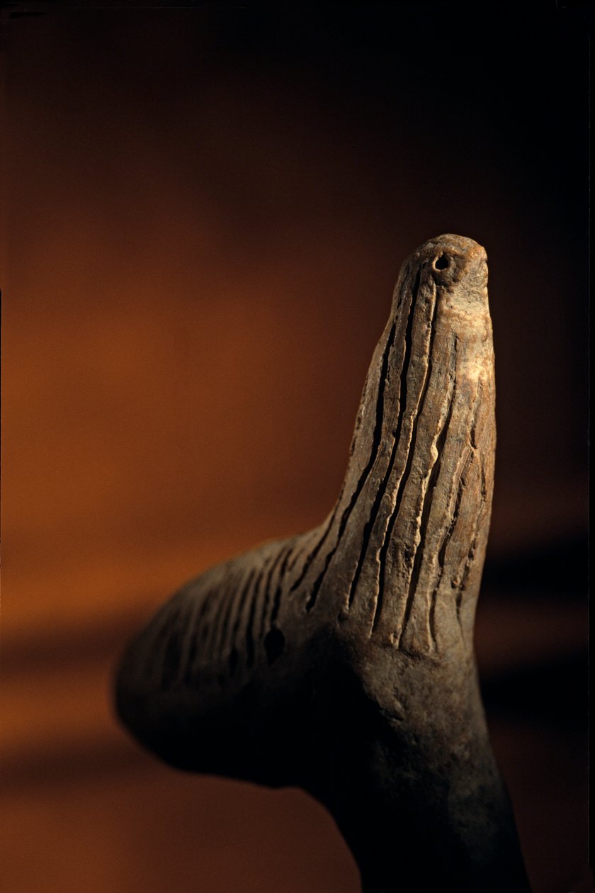 Urkesh; Hurrieten; Rijk; Syrië; 2400 v.Chr.; Giorgio Buccellati; Archeologie door Kenneth Garrett