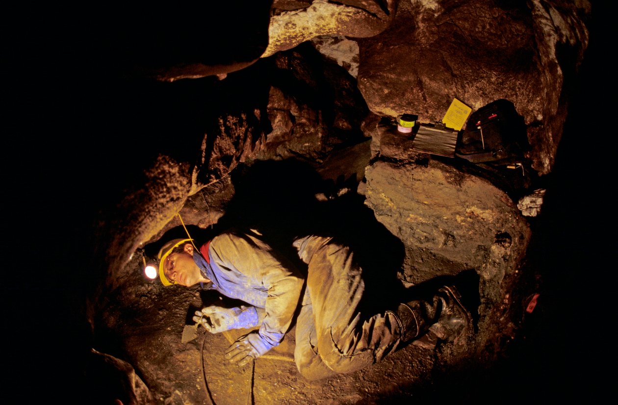 Wie waren de eerste Amerikanen, Timothy Heaton, opgraving, In je Knieën Grot, Prins van Wales Eiland, 2008 door Kenneth Garrett