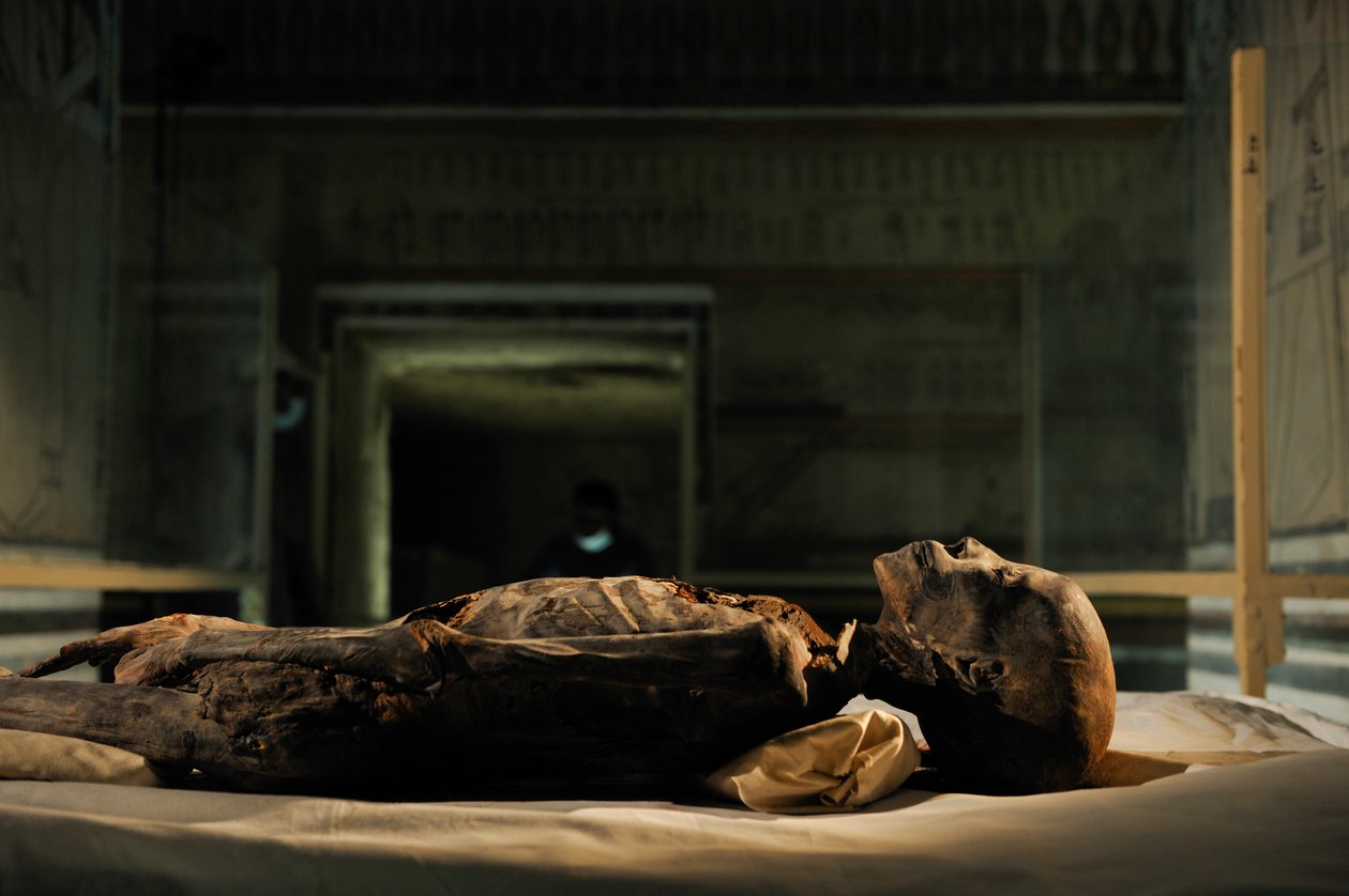mm7864; 18e Dynastie; Nieuwe Koninkrijk; Egypte; DNA; Monster; Mummie, onbekende mummie, 2005 door Kenneth Garrett