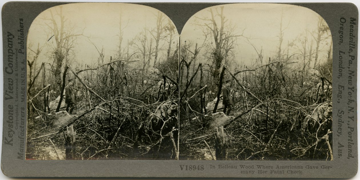 Geüniformeerde man loopt door een gebied bedekt met omgevallen bomen door Keystone View Company