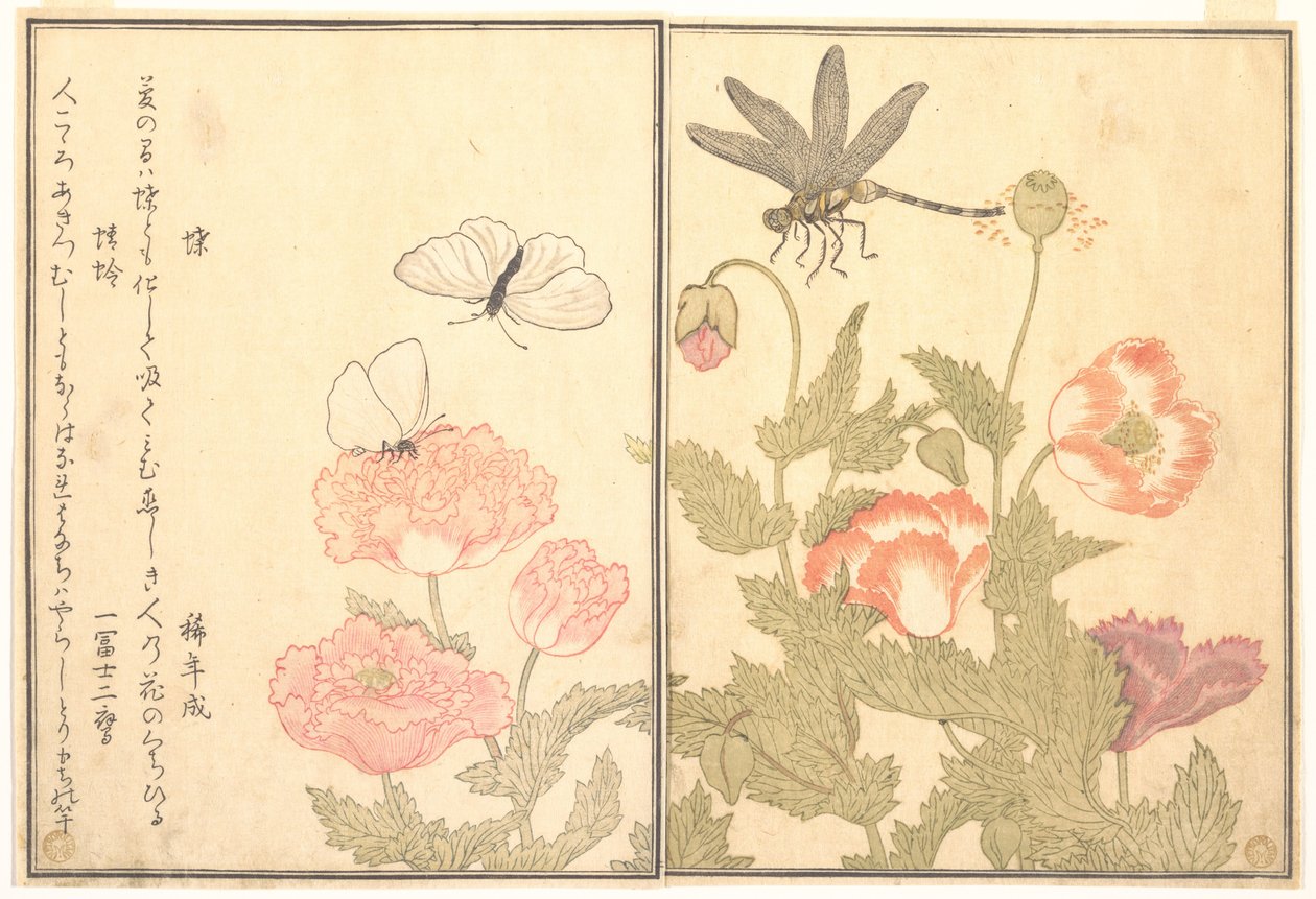 Vlinder (Chō); Libel (Kagerō of Tonbo), uit het Prentenboek van kruipende wezens (Ehon mushi erami) door Kitagawa Utamaro