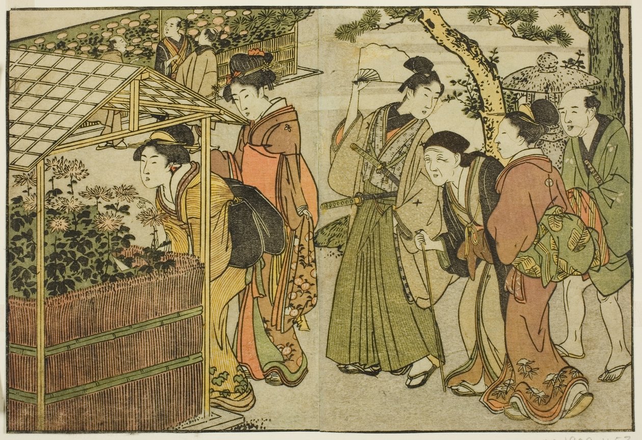 Tentoonstelling van chrysanten, uit het geïllustreerde boek "Prentenboek: Bloemen van de vier seizoenen," deel 2 door Kitagawa Utamaro