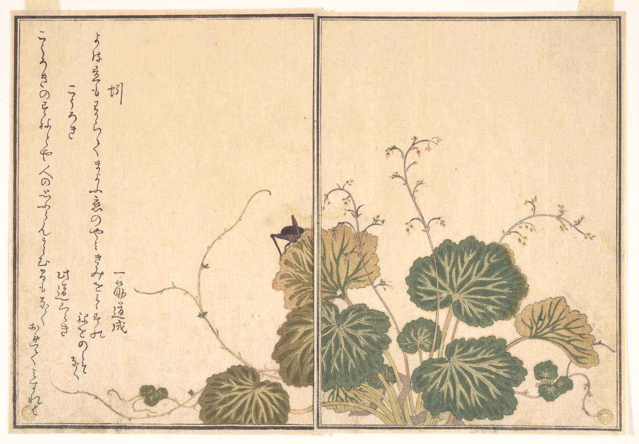 Regenworm (Mimizu); krekel (Kōrogi), uit het Prentenboek van kruipende schepsels (Ehon mushi erami) door Kitagawa Utamaro
