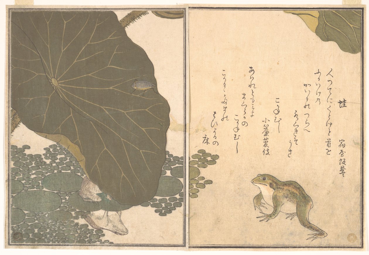 Kikker (Kaeru); gouden kever (Kogane mushi), uit het Prentenboek van kruipende wezens (Ehon mushi erami) door Kitagawa Utamaro