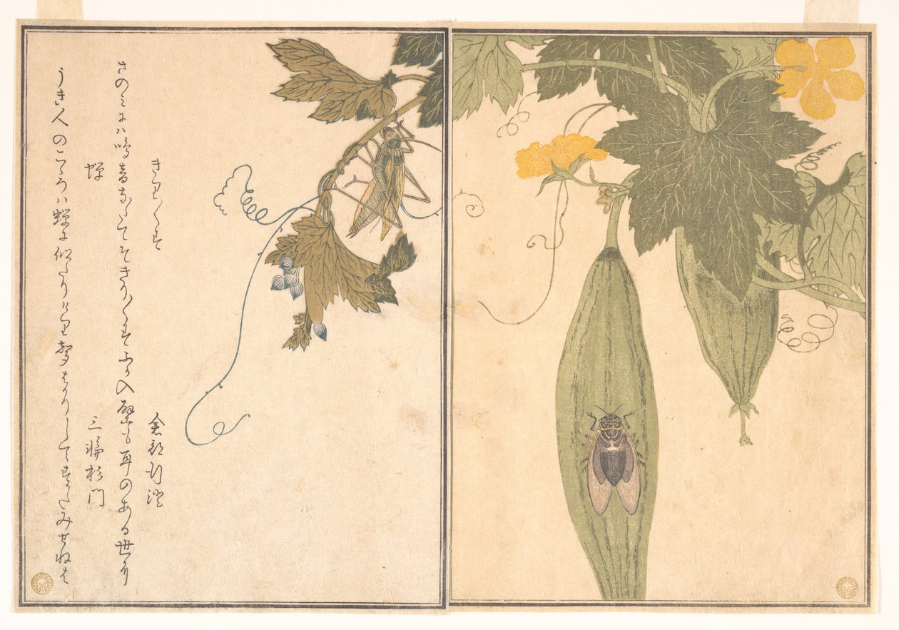 Sprinkhaan (Kirigirisu); cicade (Semi), uit het Prentenboek van kruipende schepselen (Ehon mushi erami) door Kitagawa Utamaro