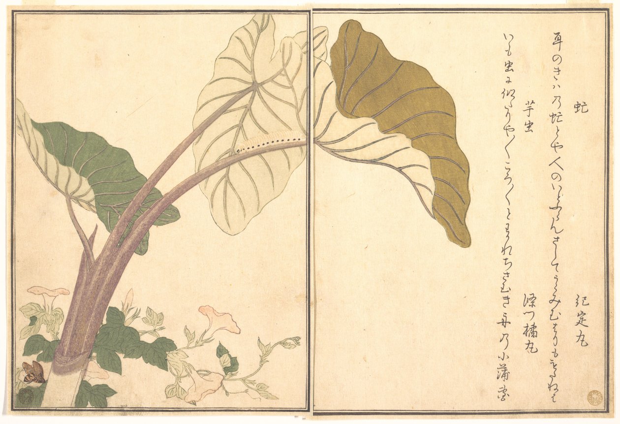 Paardenvlieg (abu); groene rups, imomushi, uit het Prentenboek van kruipende wezens (Ehon mushi erami) door Kitagawa Utamaro