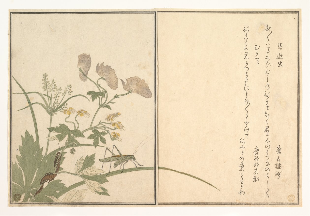 Katydid (Umaoi-mushi); Duizendpoot (Mukade), uit het prentenboek over kruipende beestjes (Ehon mushi erami) door Kitagawa Utamaro