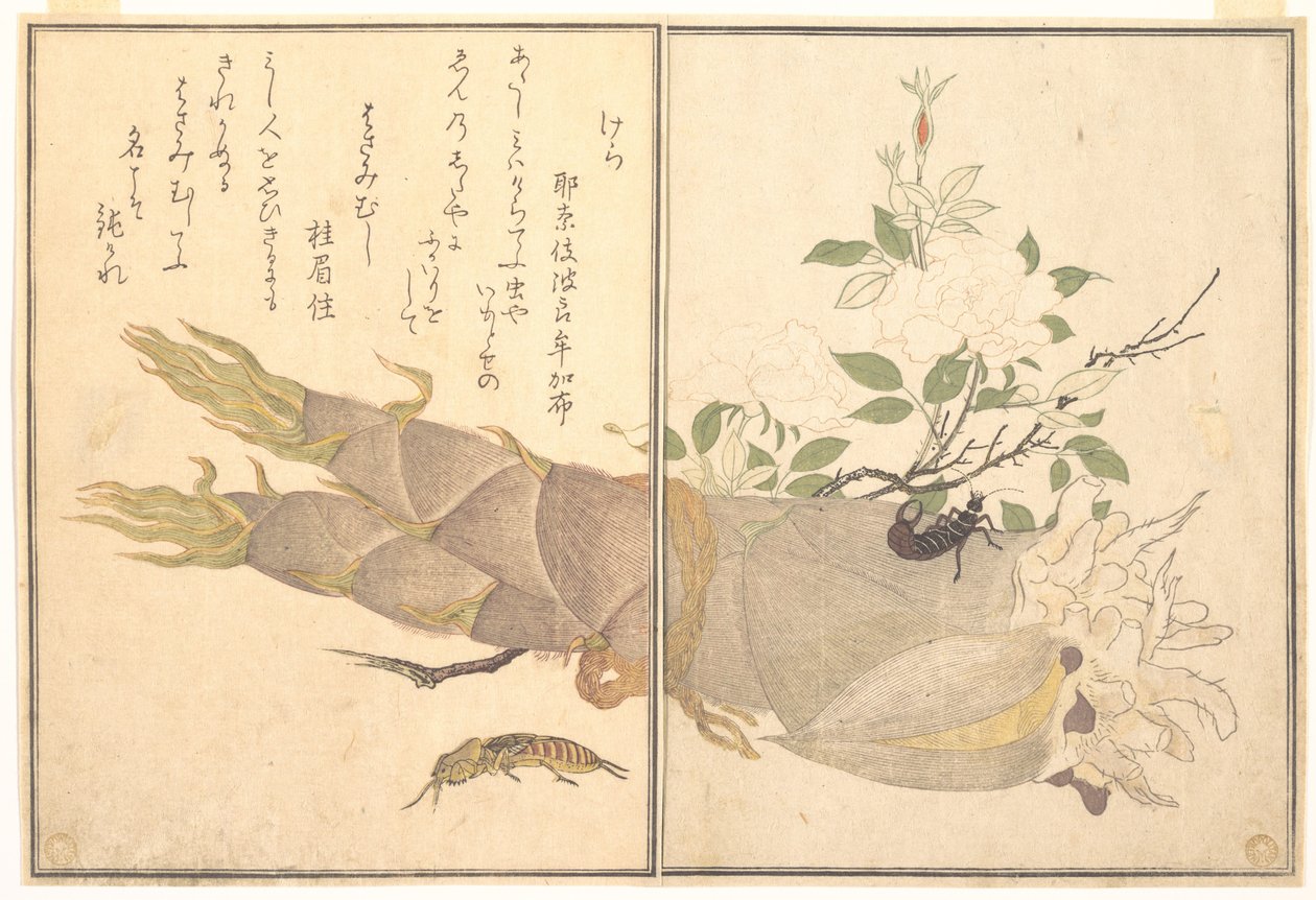 Molkrekel (Kera); Oorworm (Hasami-mushi), uit het prentenboek over kruipende beestjes (Ehon mushi erami) door Kitagawa Utamaro