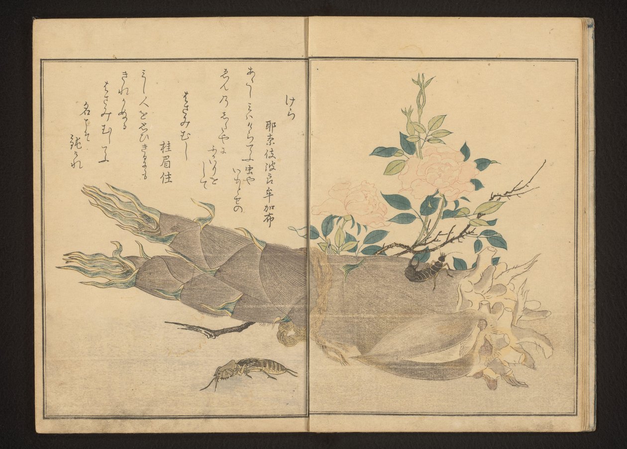 Mole cricket en oorworm op bamboescheut door Kitagawa Utamaro